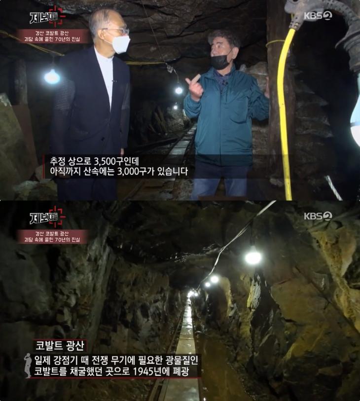  KBS ‘제보자들’ 경산 코발트광산, 공포체험 명소? 괴담 속 아픈 진실 “3천5백 명 희생 추정” #제보자들 #경산코발트광산괴담 #강지원변호사 #국민보도연맹 #진실화해를위한과거사정리위원회