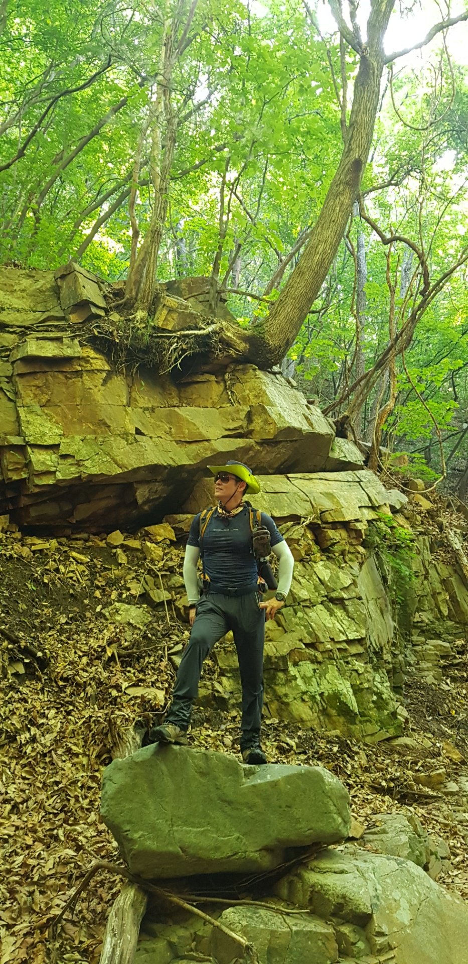 울산 고헌산