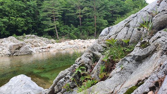 SNS에서블로그로유입늘리는전략