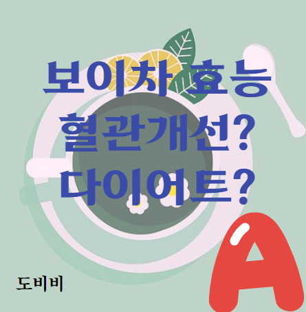  보이차의 효능 및 부작용 건강트랜드