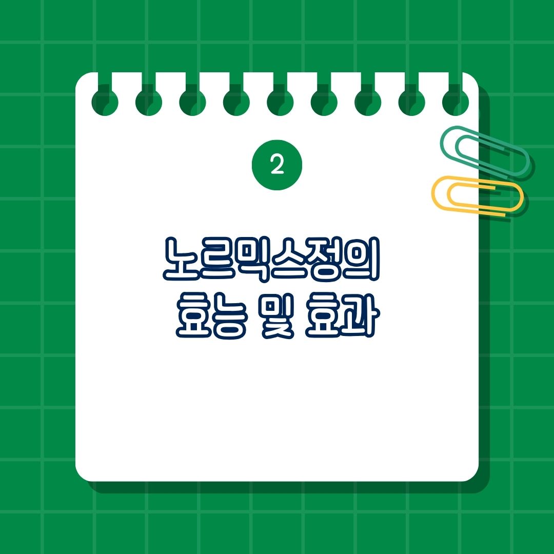 3_노르믹스정 효능, 효과는 소장 세균 과증식(SIBO) 치료, 여행자 설사 치료, 과민성 장 증후군(IBS) 치료, 간성뇌증 예방, 결장 게실염 치료
