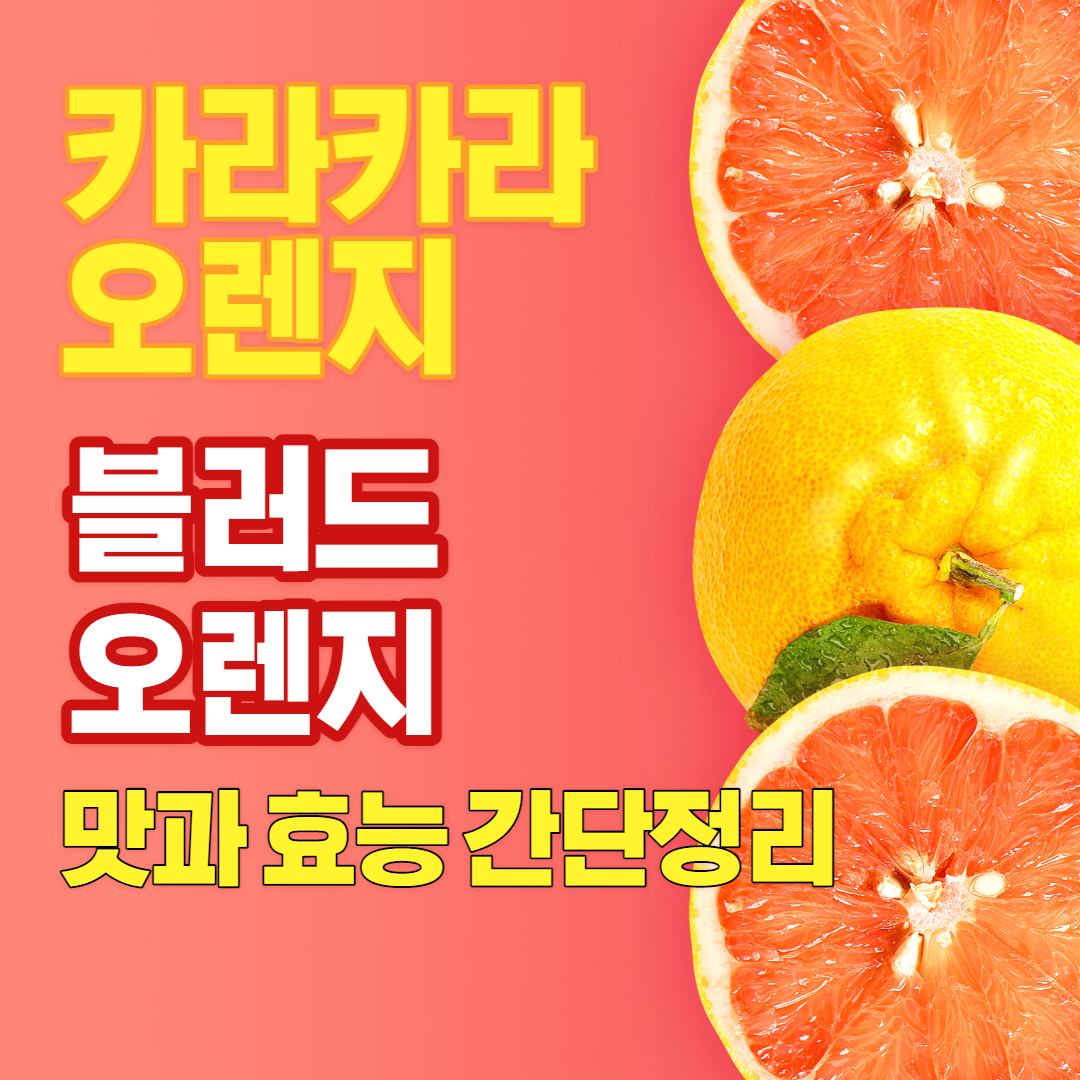 카라카라 오렌지&#44; 블러드 오렌지 맛과 효능 간단 정리