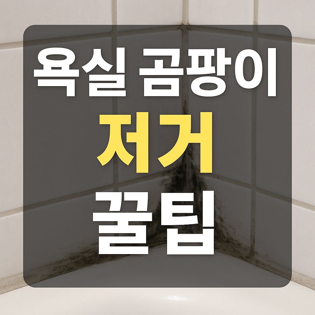 욕실 곰팡이 제거 꿀팁