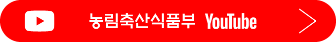 무늬종 의 비밀 11