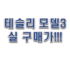  테슬라 모델3 실구매가 2021 롱레인지!!!