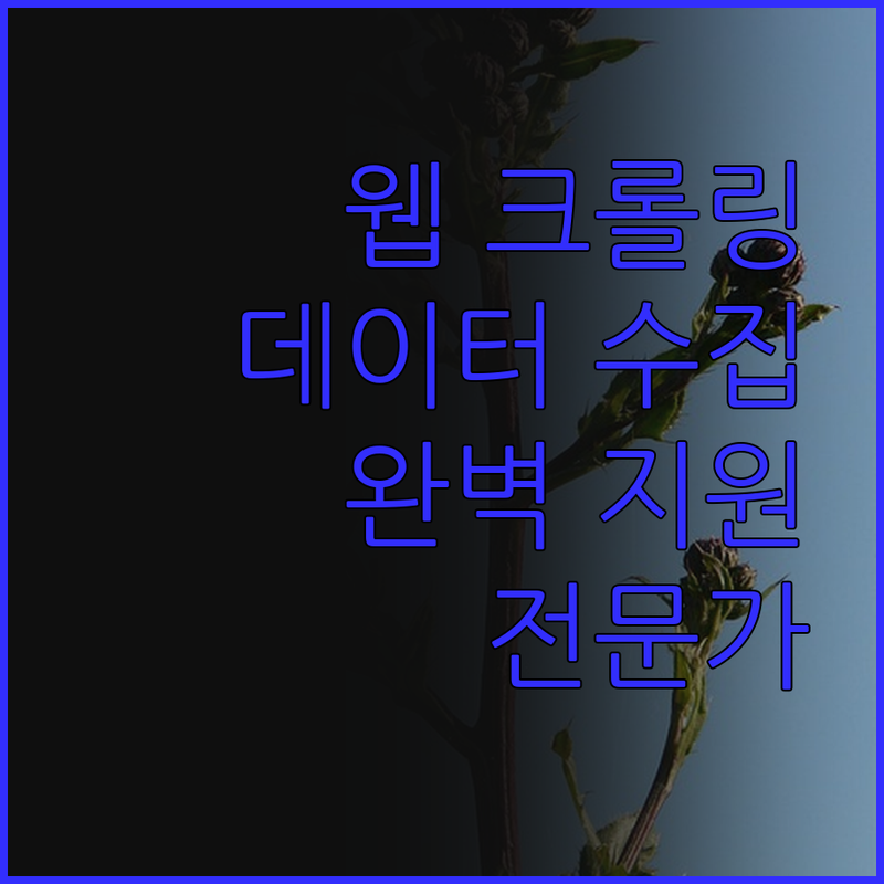 웹 크롤링 & 스크래핑 전문가, 당신