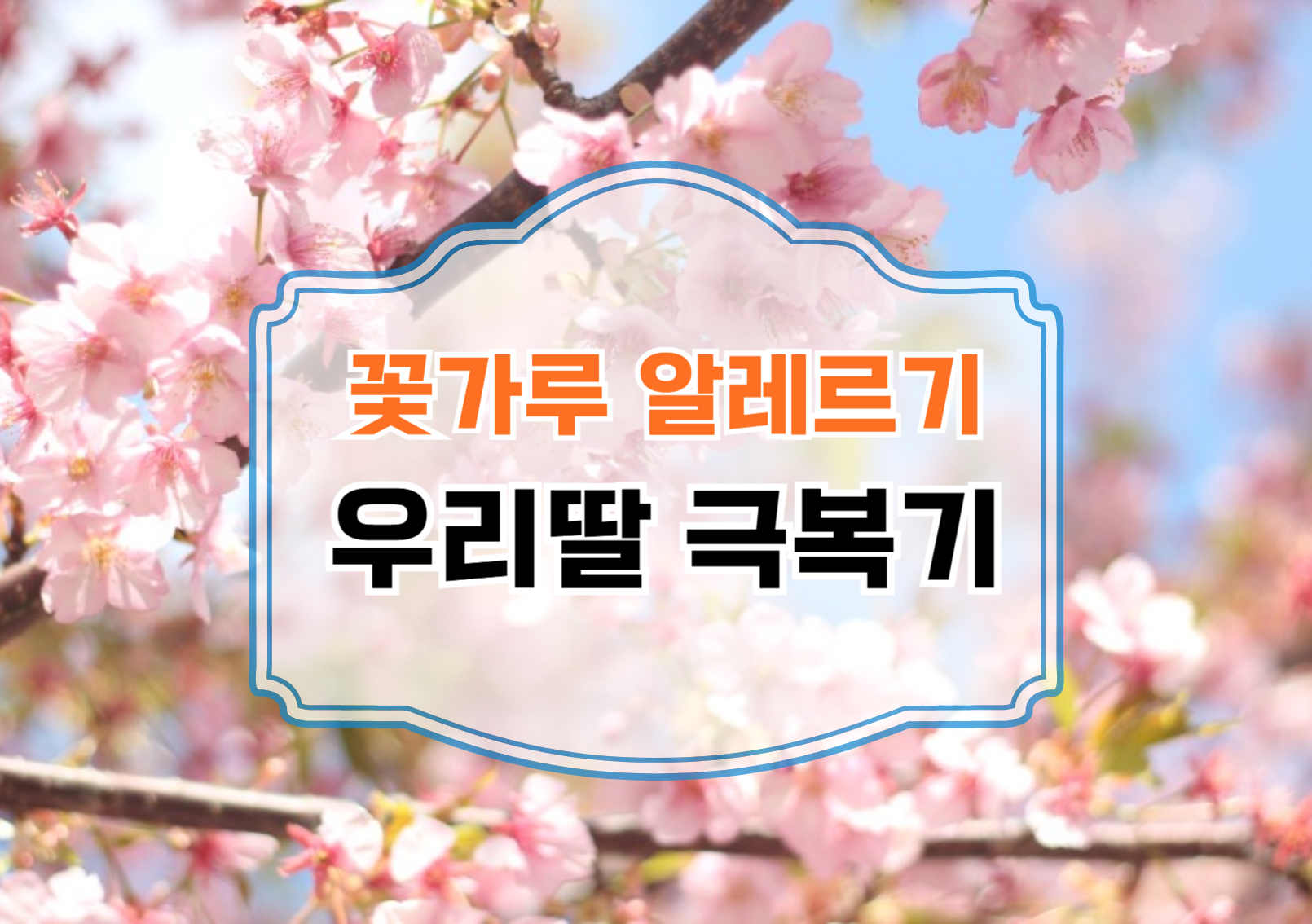 꽃가루