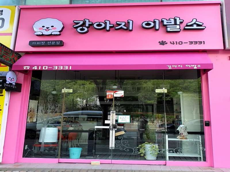 안산시 애견미용 잘하는 곳 BEST4 | 예약하기 | 정보 확인하기 | 후기 보러가기 | 가격 비교 | 애견미용샵 추천 | 총정리 - 4. 강아지이발소 소개 4. 강아지이발소 소개