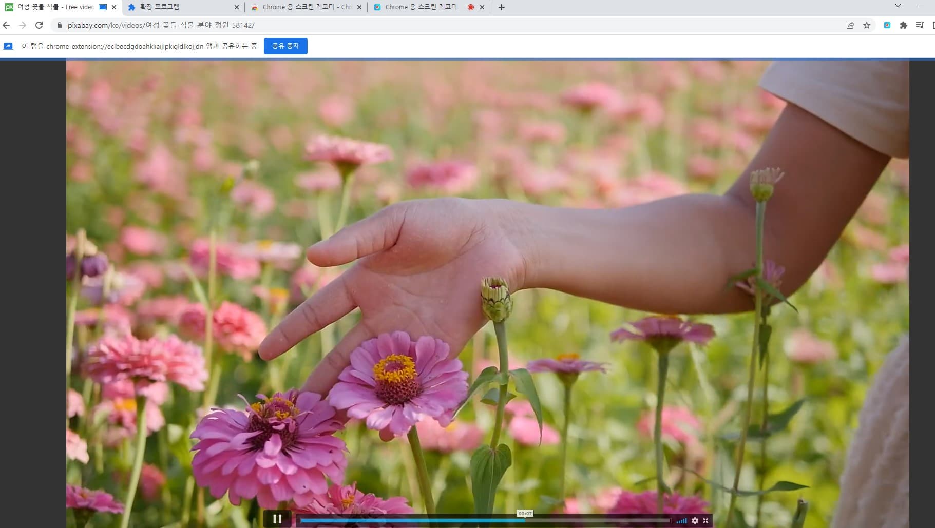 전체화면을 한 모습