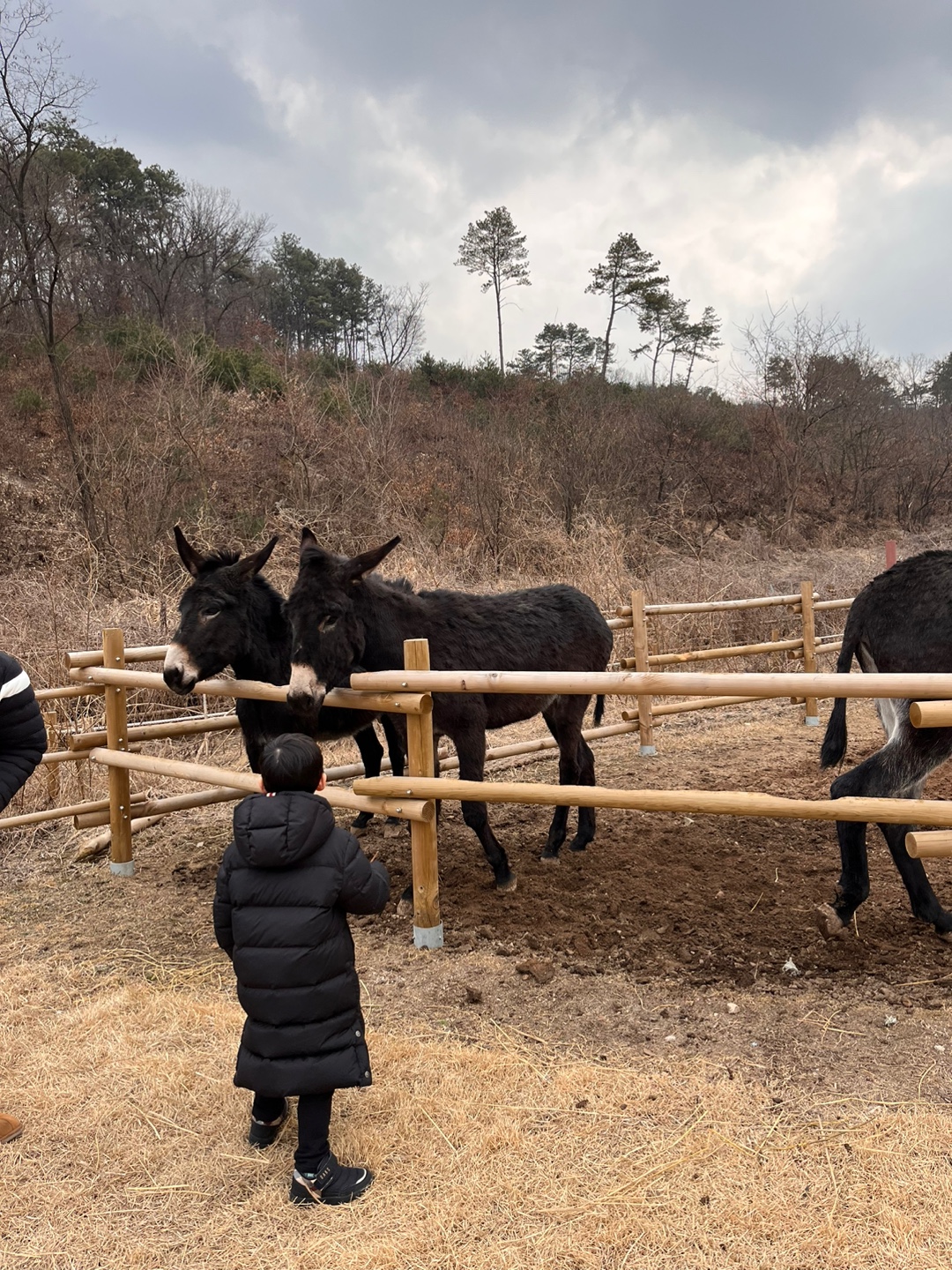 스카이밀크팜