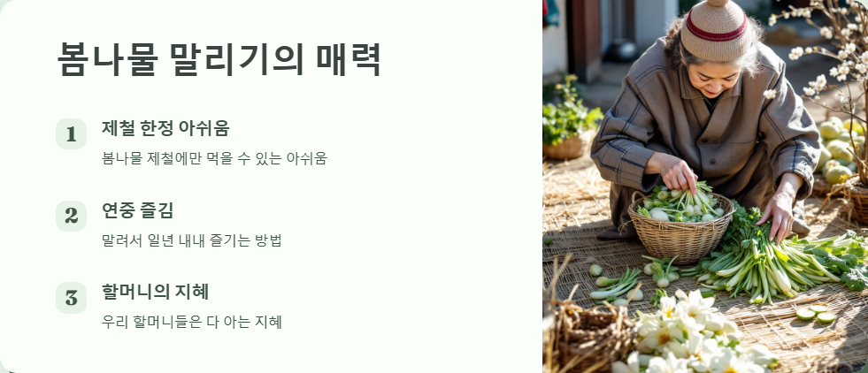 봄나물 말린 것 요리법, 깊은 맛의 비밀
