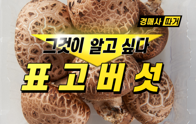  너만 알어? "표고버섯"
