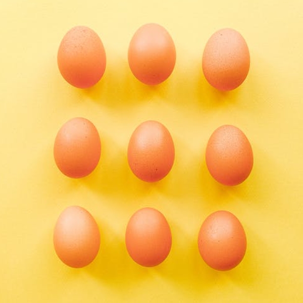 계란효능