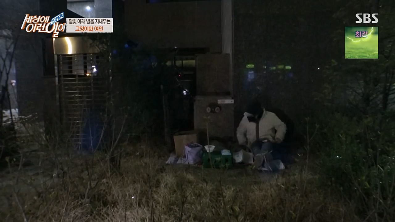 순간포착 세상에 이런일이.E1223.230329p-NEXT.mp4_20230329_192700.355.jpg