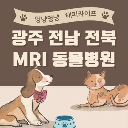 광주 전남 전북 MRI 동물병원