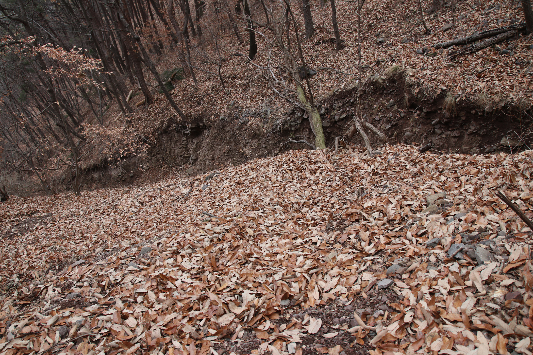 경남 의령군 국사봉 05 50