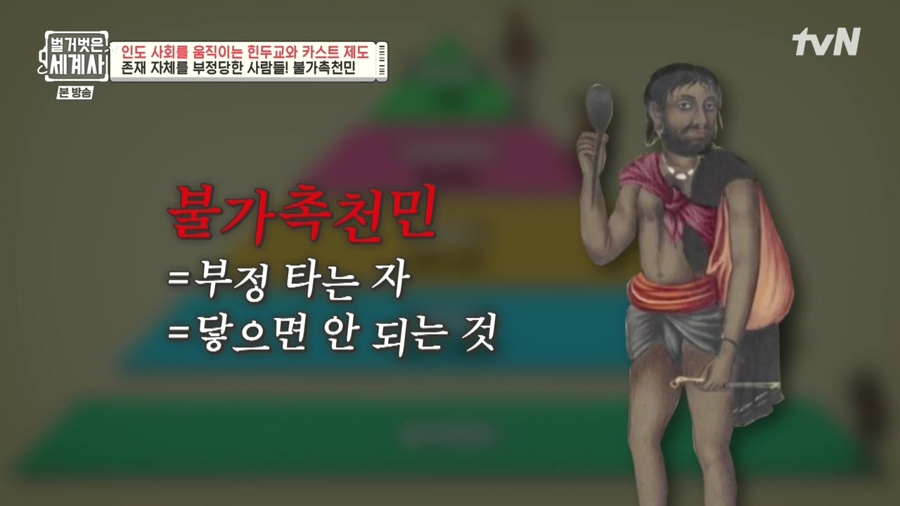 벌거벗은 세계사.E115.230906p-NEXT.mp4_20240406_174248.954.jpg