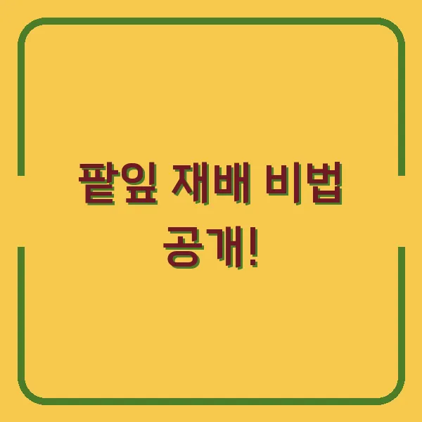 팥잎 재배 비법 공개!