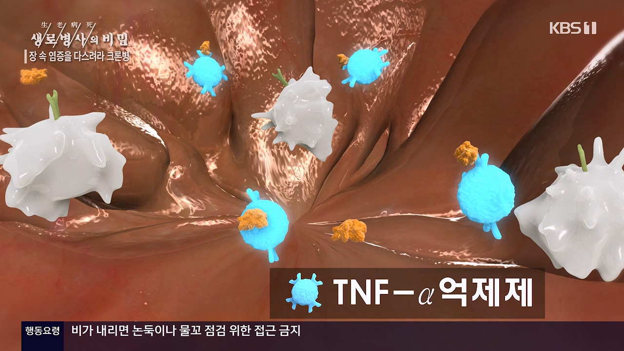 생로병사의 비밀.E884.230921p-NEXT.mp4_20230921_204735.481.jpg