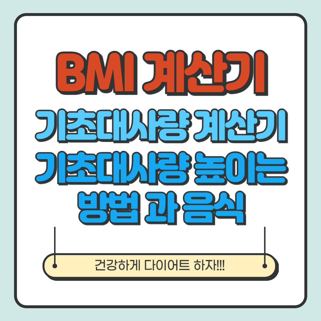 BMI계산기, 기초대사량 계산기, 기초대사량 높이는 방법 과 음식