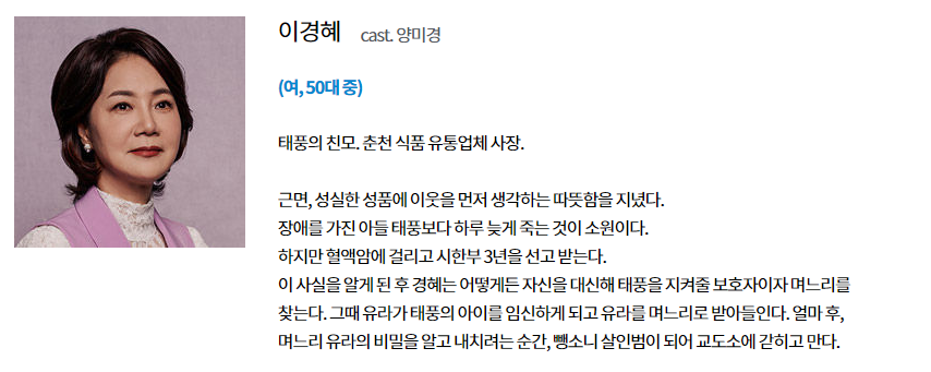 비밀의 남자 인물 관계도 비밀의 남자 인물관계도 21