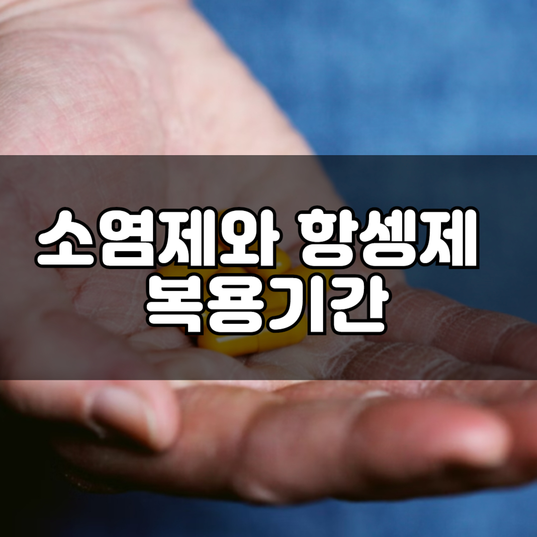 소염제와 항생제의 차이와 부작용, 복용 기간, 술 음주