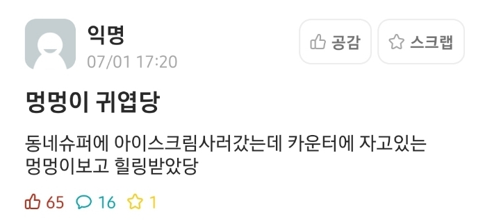  멍멍이 귀엽당