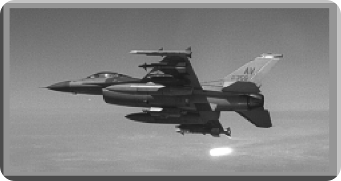 플레어 시각적 식별