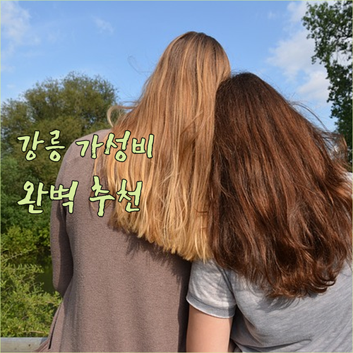가성비 좋은 강릉 호텔 찾기! 깨끗하