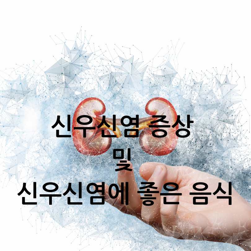 신우신염증상과 신장에 좋은 음식