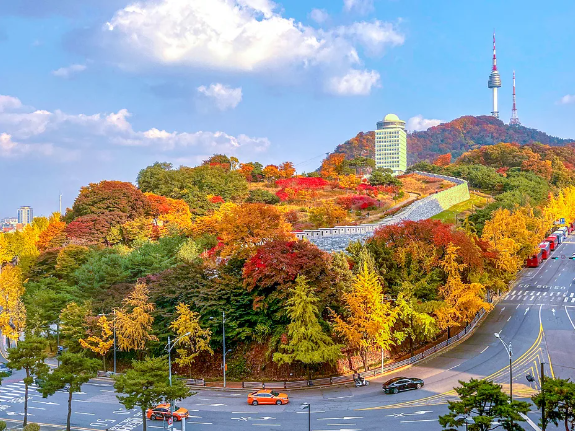 서울 단풍축제 단풍놀이