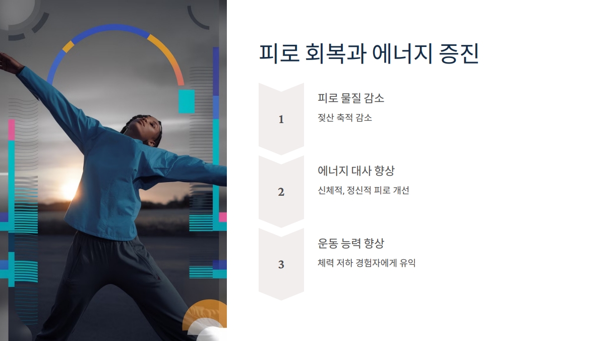 홍삼 효능