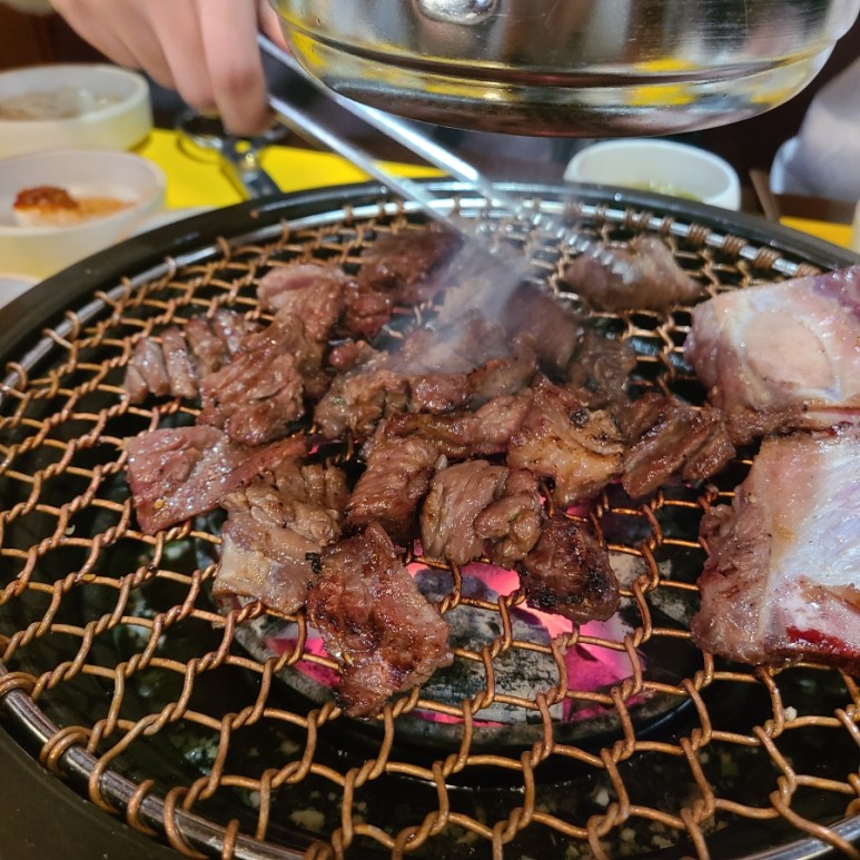 jpt 접수 [일상로그] 스물여섯다운(?) 2월 기록 ! ( 21
