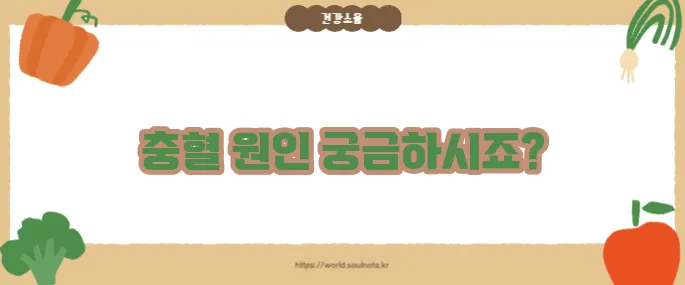 눈이 충혈되는 이유 (+의심 질환 정리)