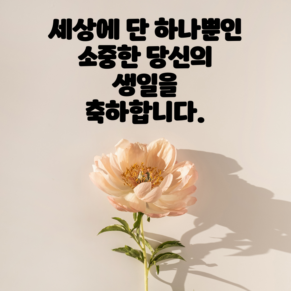 생일 축하 메세지 문구 이미지 모음글로 이동