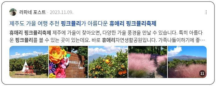 휴애리 핑크뮬리 축제_2_subsection