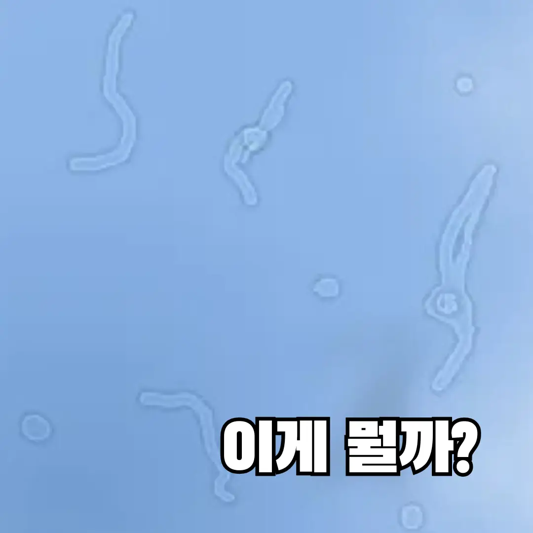 눈앞에 아지랑이