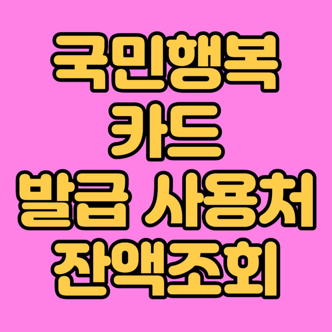 국민행복카드 발급 사용처 잔액조회