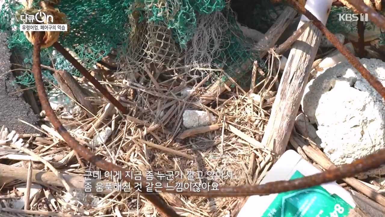 다큐 온.E223.231106p-NEXT.mp4_20231106_203649.049.jpg