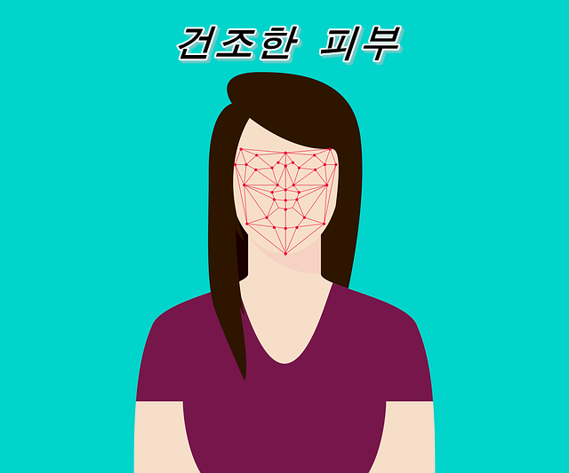  건조한 피부(피지 결핍성 습진)