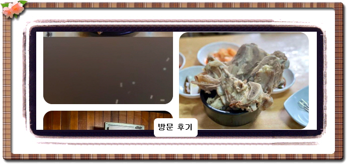 전현무계획2 꼬리곰탕 21회