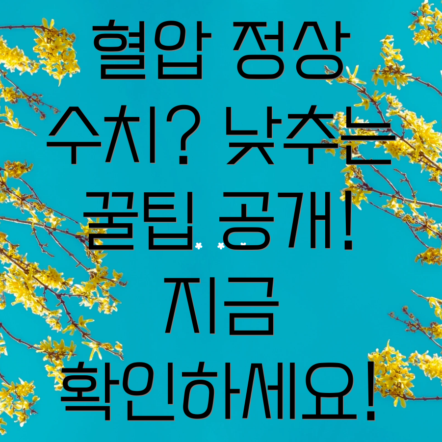 혈압 정상 수치