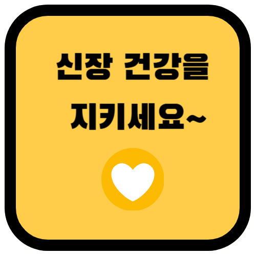 신장 건강을 유지하는 식단과 생활 습관