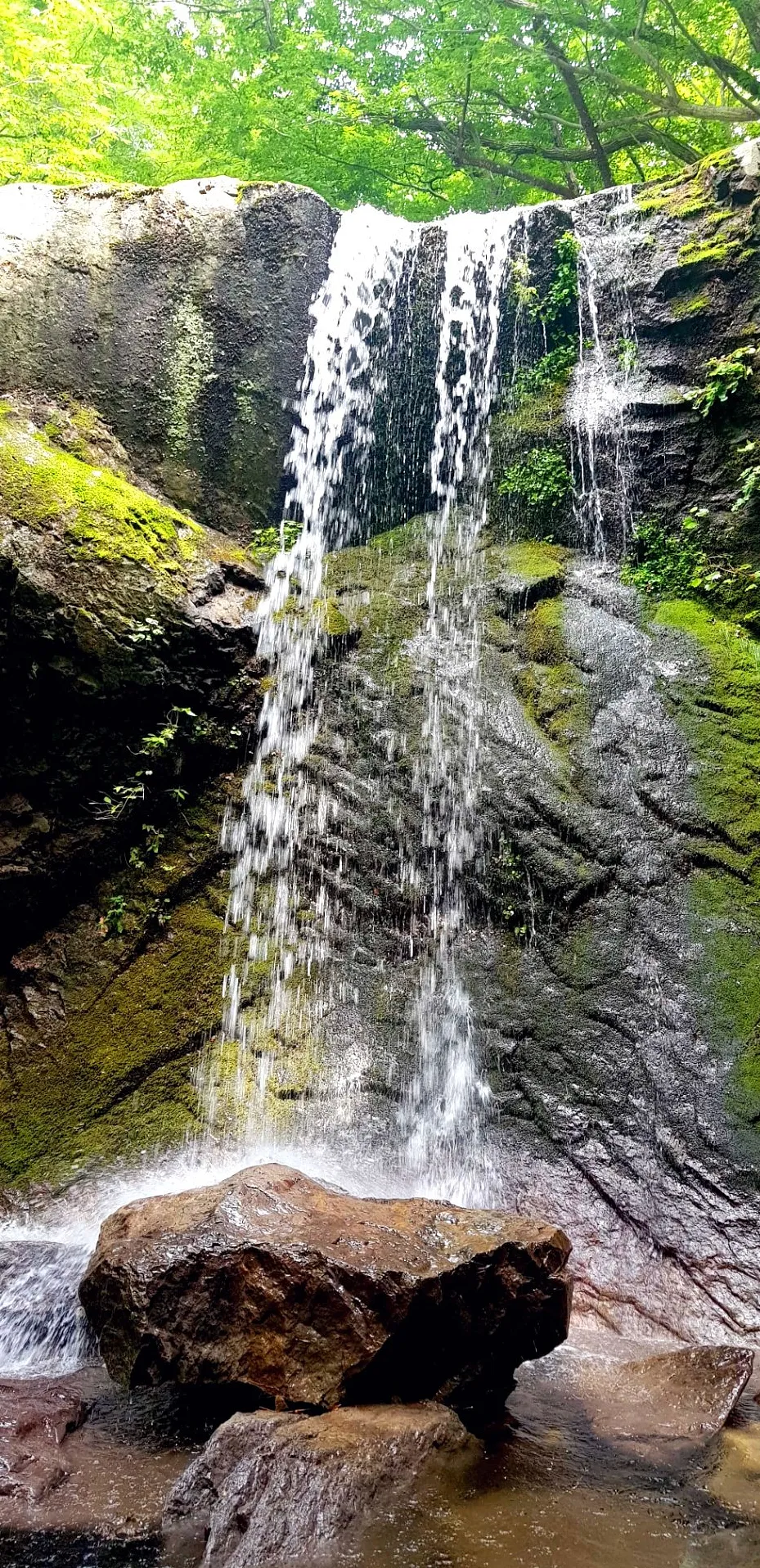포항 동대산