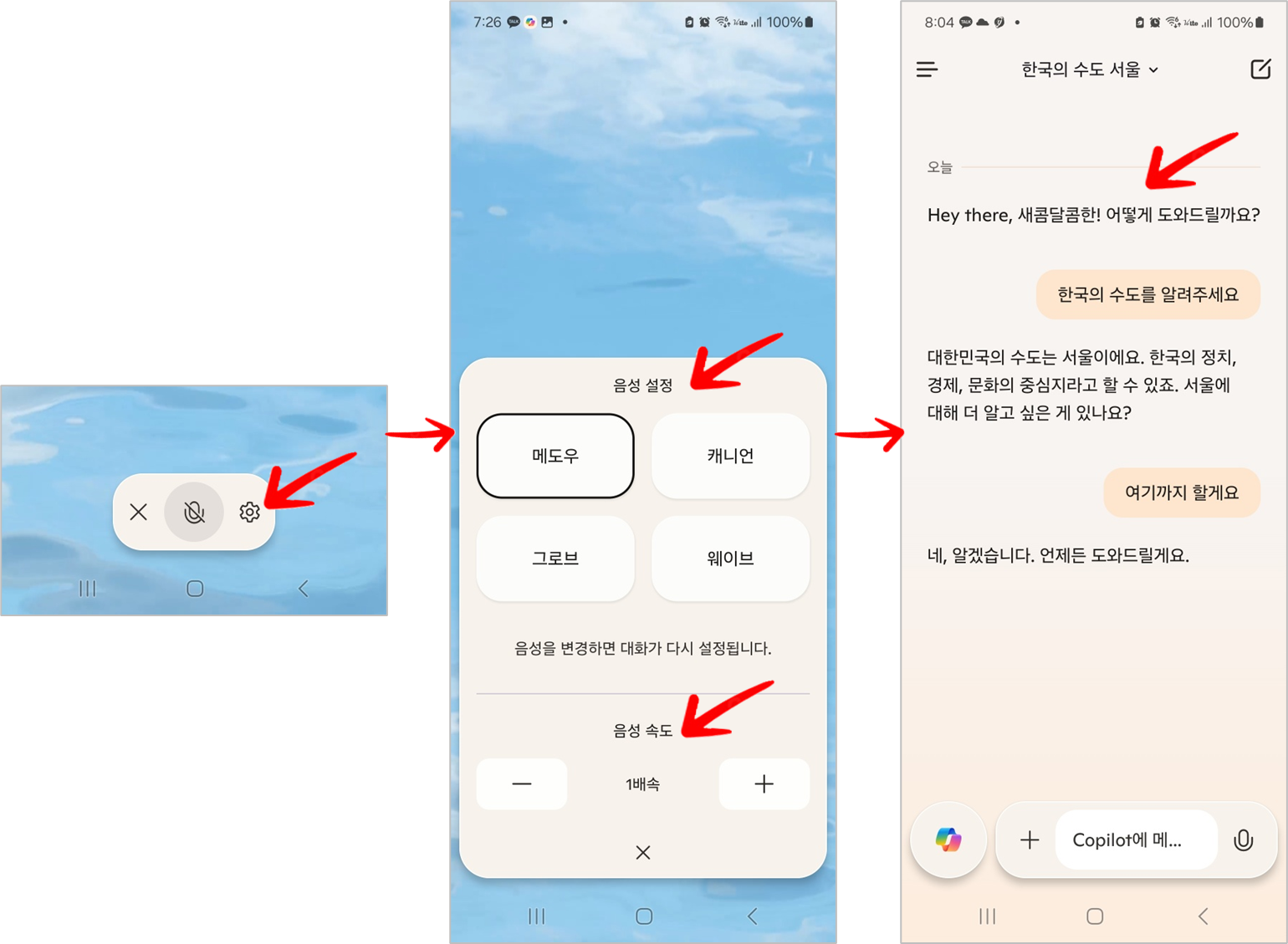 음성 설정, 속도 및 음성 대화 답변 확인