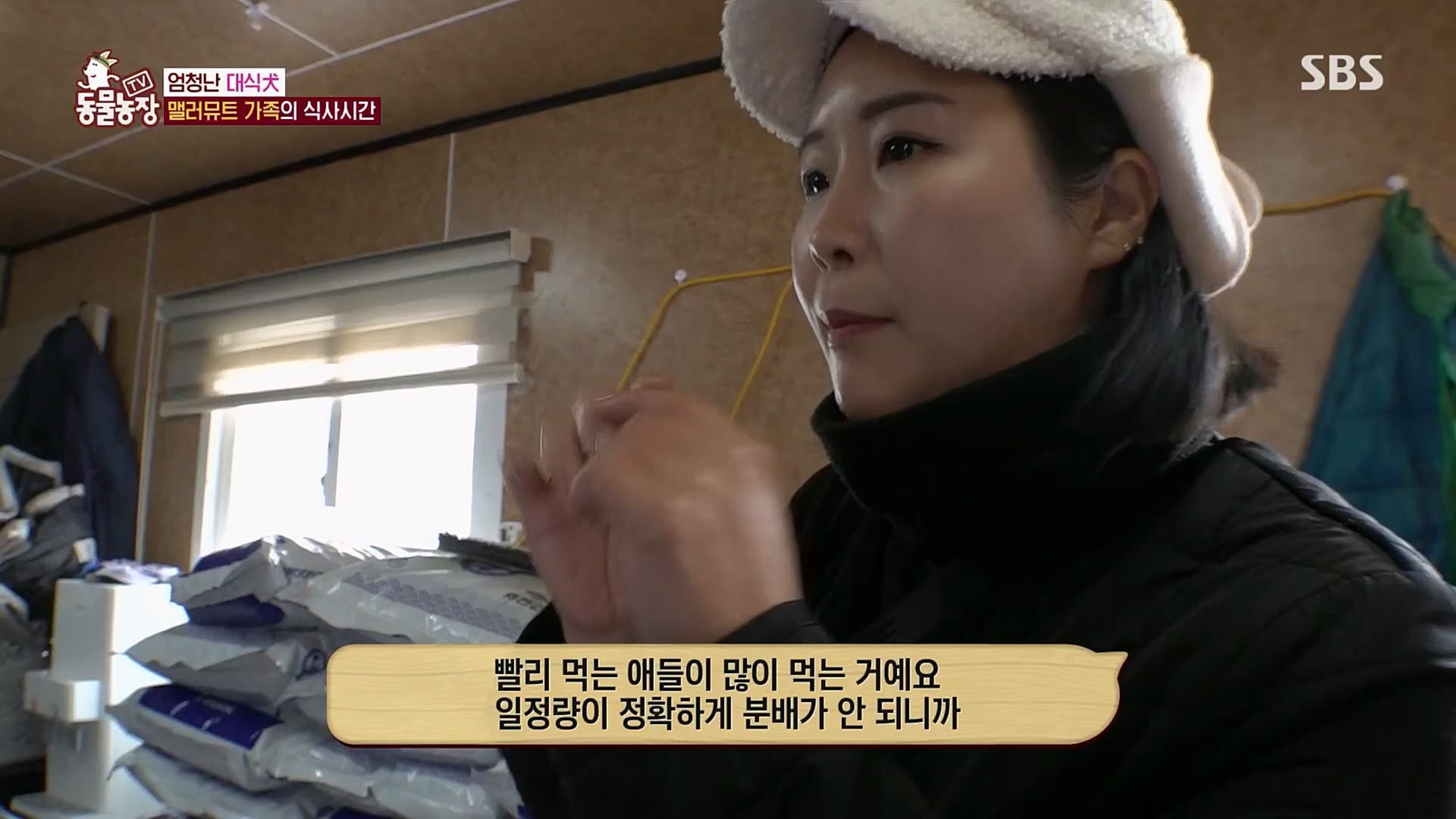 TV 동물농장.E1107.230205p.H264-F1RST.mp4_20230205_173955.011.jpg