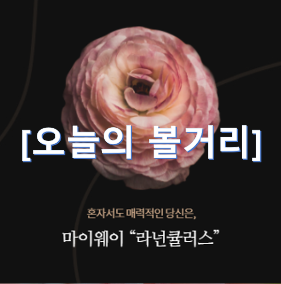  [오늘의 볼거리] 나의 MBTI 꽃으로 알아보기