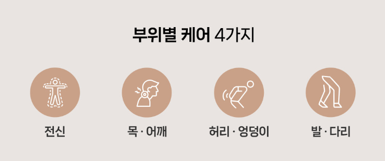 바디프랜드 팔콘