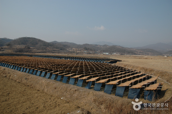 2024경북영주풍기인삼축제