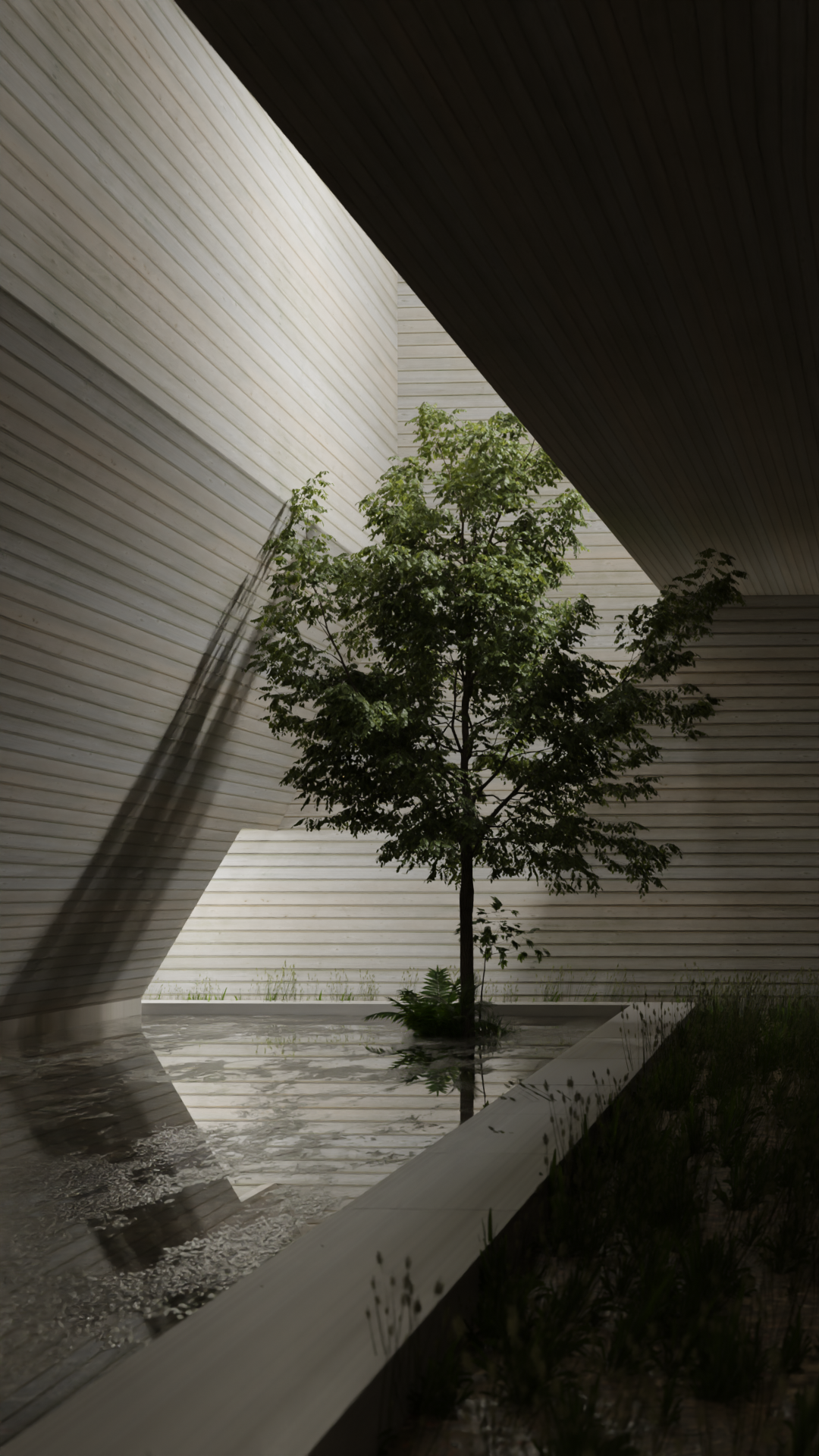 blender3d